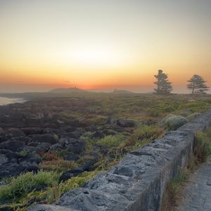 Meet your Posher, Lilla